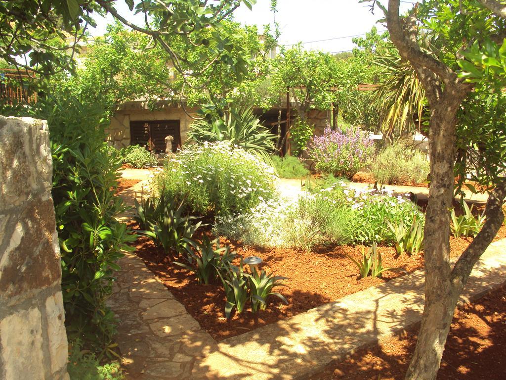 Apartment Basina Vrbanj
